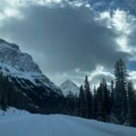 20250324 173848407 ios