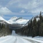 20250324 174106050 ios