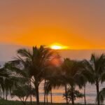 20251219 034217800 ios